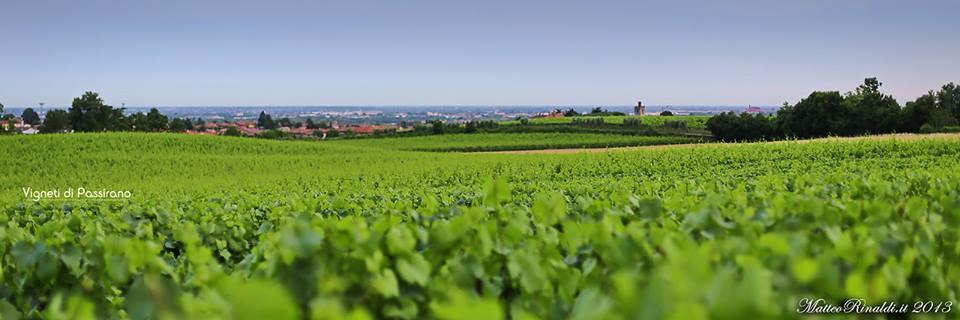 Wine & Lake In Franciacorta パッシラーノ エクステリア 写真