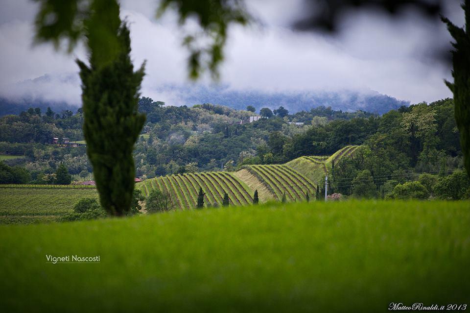Wine & Lake In Franciacorta パッシラーノ エクステリア 写真