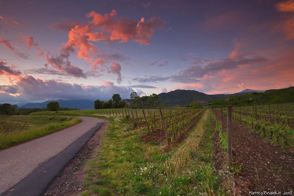 Wine & Lake In Franciacorta パッシラーノ エクステリア 写真