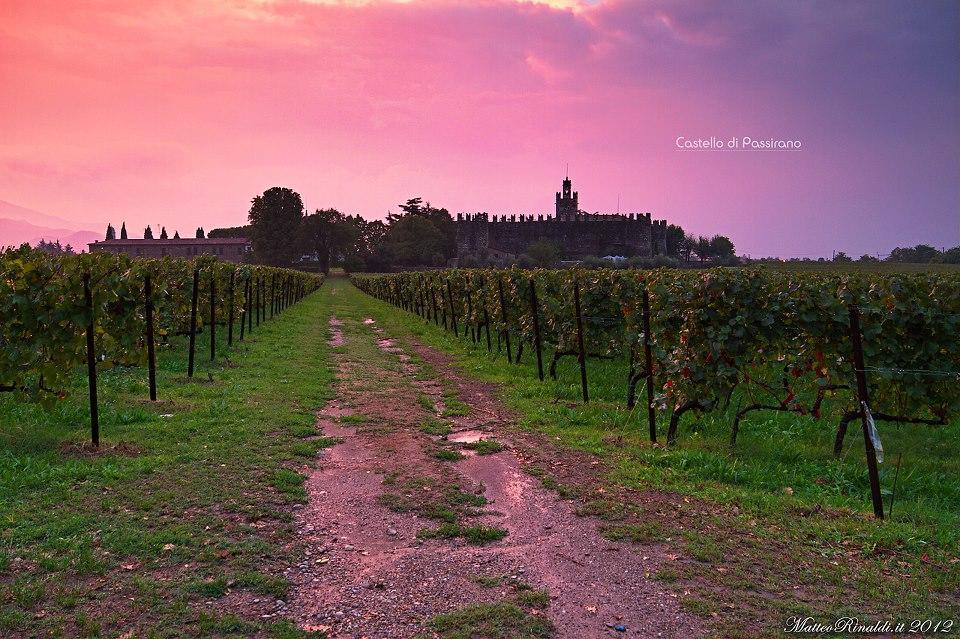 Wine & Lake In Franciacorta パッシラーノ エクステリア 写真