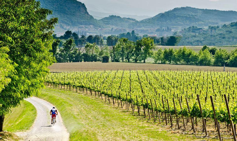 Wine & Lake In Franciacorta パッシラーノ エクステリア 写真