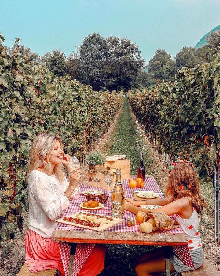 Wine & Lake In Franciacorta パッシラーノ エクステリア 写真